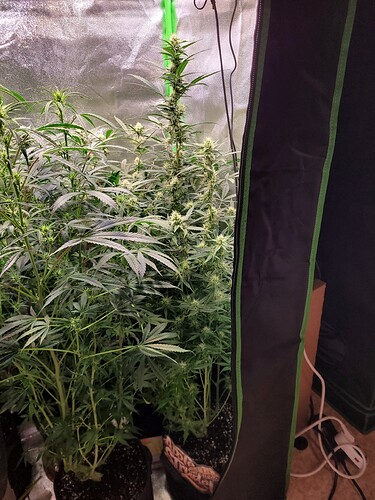 Growreport Bild 7