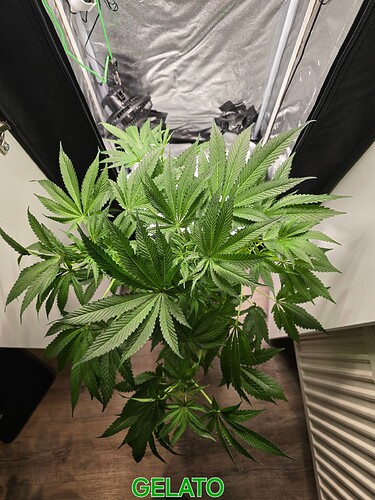Growreport Bild 8
