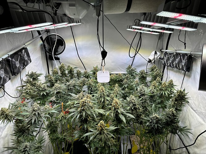 Growreport Bild 109