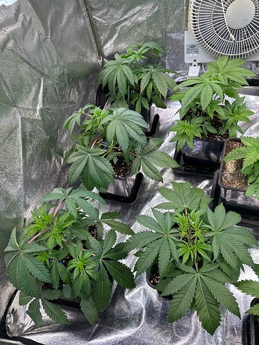 Growreport Bild 12
