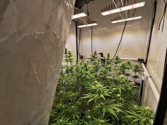 Growreport Bild 5