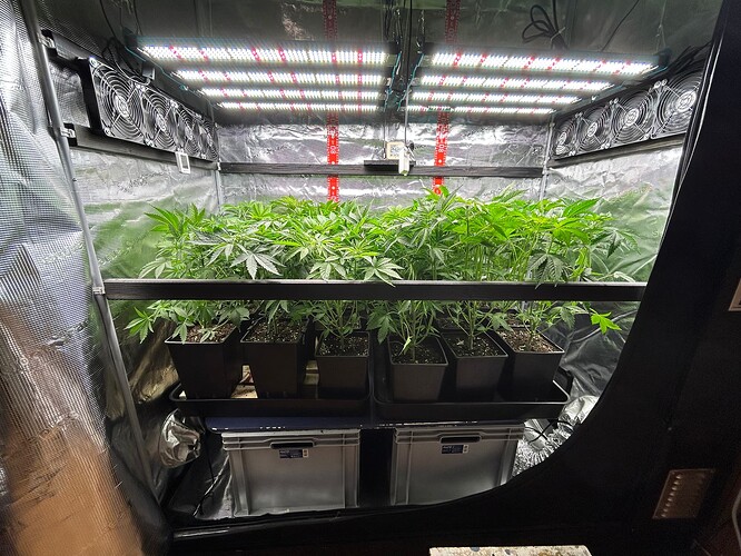 Growreport Bild 3