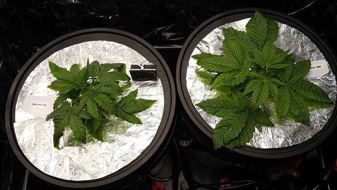 Growreport Bild 10