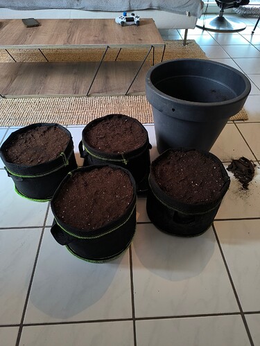 Growreport Bild 25