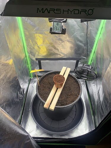 Growreport Bild 1