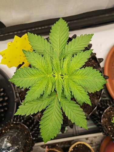 Growreport Bild 16
