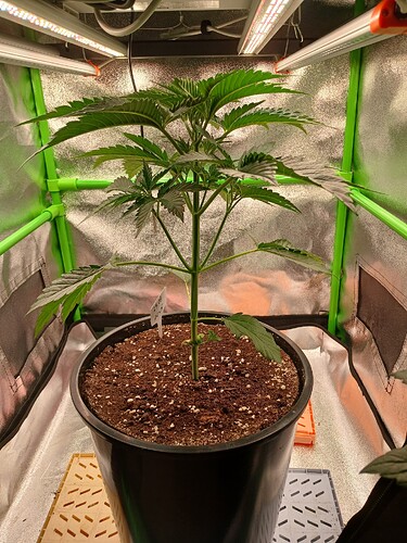 Growreport Bild 13