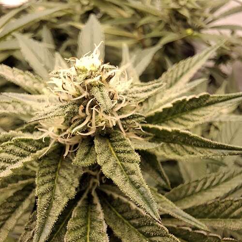 475369054_122166060296293599_1065599512604135769_n