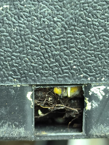 Growreport Bild 3