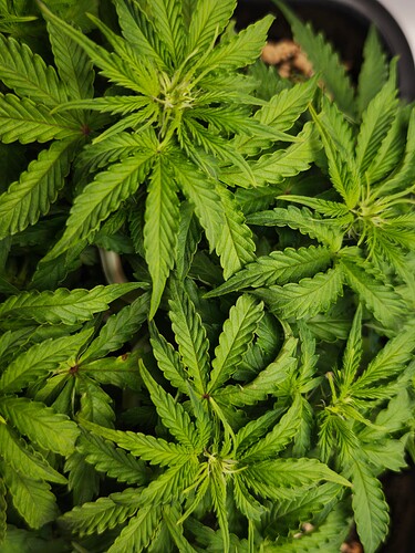 MVIMG_20251015_213505