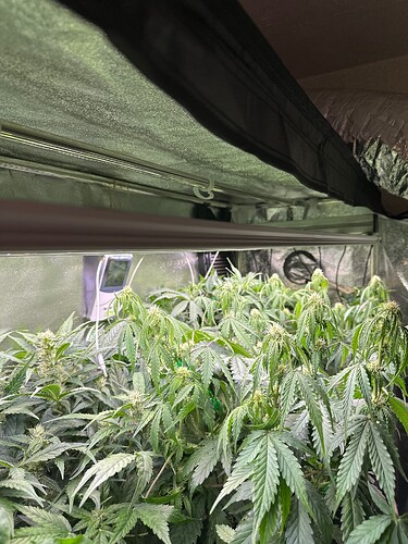Growreport Bild 56