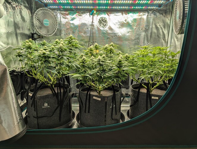 Growreport Bild 6