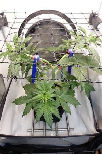 Growreport Bild 23