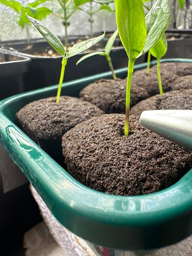 Growreport Bild 17