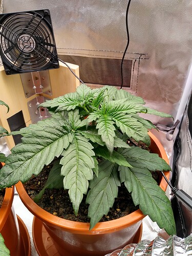 IMG_20240502_192712039_HDR