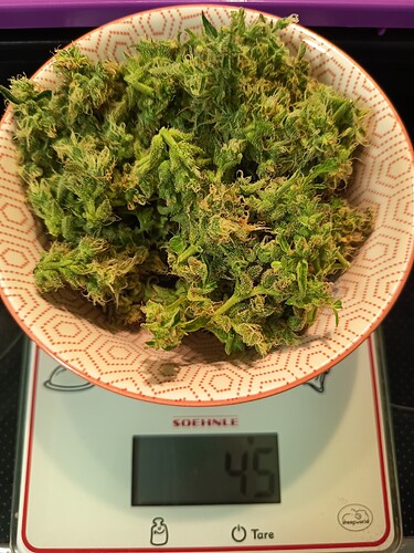 Growreport Bild 17