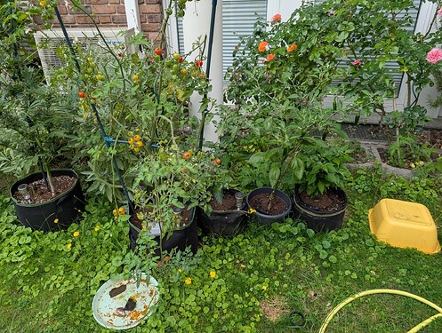 Growreport Bild 12