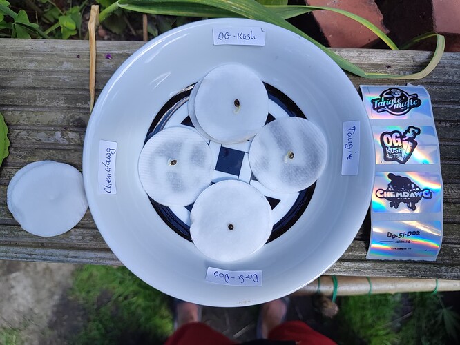 Growreport Bild 2