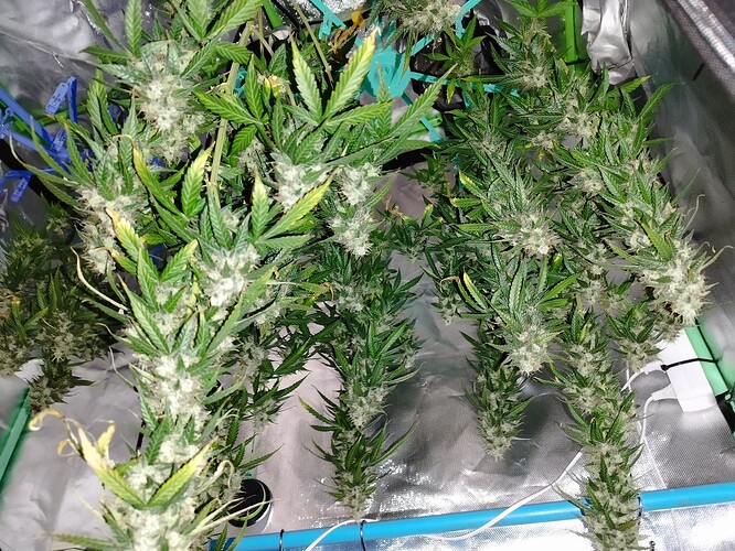 Growreport Bild 17