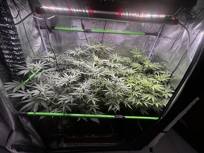 Growreport Bild 13