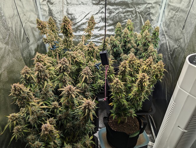 Growreport Bild 1