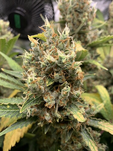 Growreport Bild 14