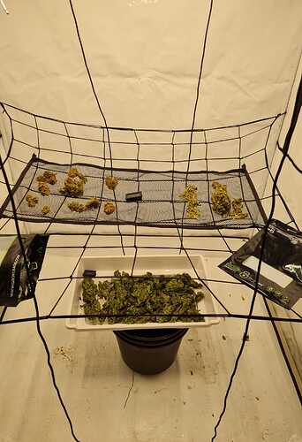 Growreport Bild 20