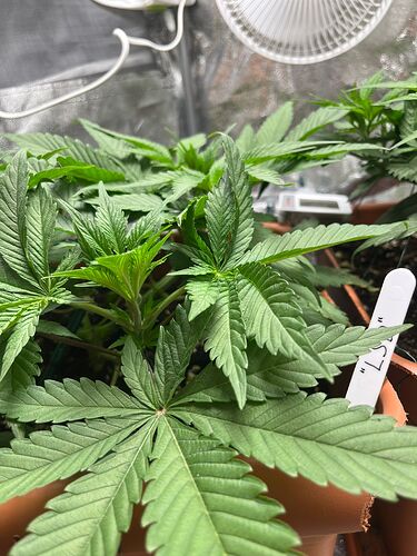 Growreport Bild 5