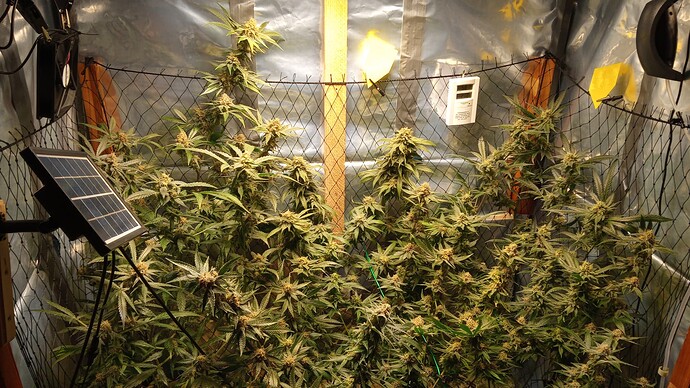 Growreport Bild 1