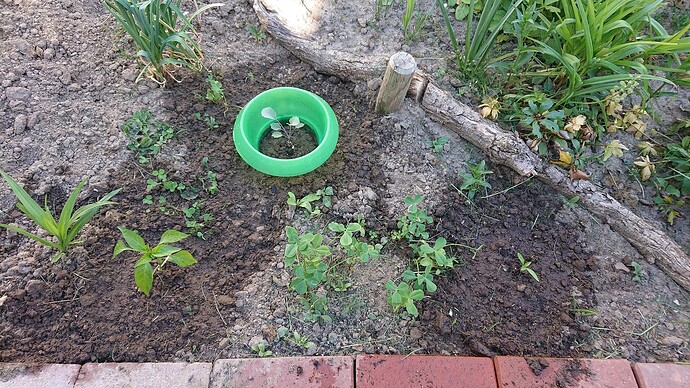 Growreport Bild 25
