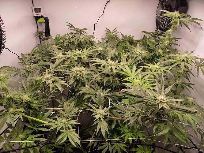 Growreport Bild 13