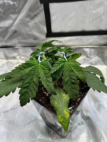 Growreport Bild 24
