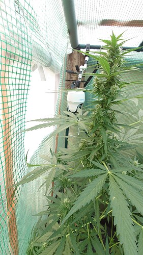 Growreport Bild 15