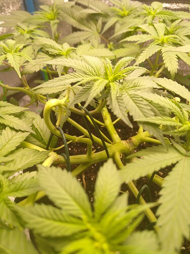 Growreport Bild 10