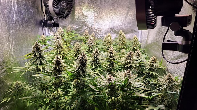 Growreport Bild 6