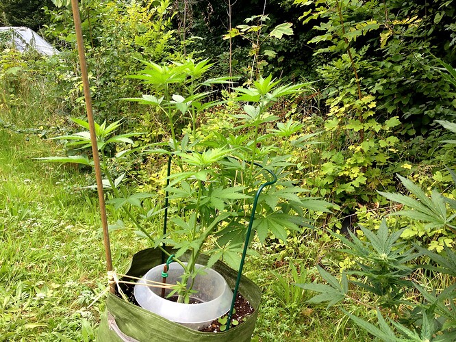 Growreport Bild 10