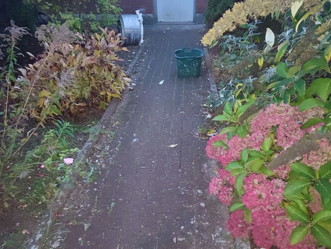 Growreport Bild 46