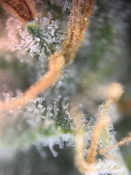 IMG_3846
