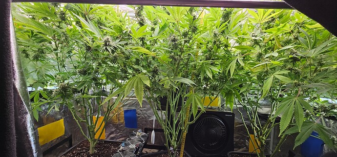 Growreport Bild 57
