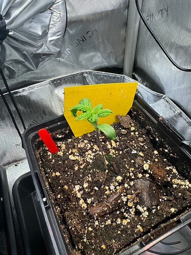 Growreport Bild 11