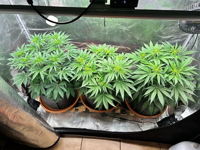 Growreport Bild 7