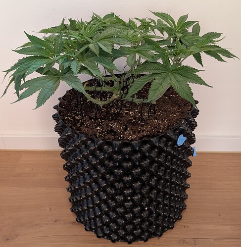 Growreport Bild 13