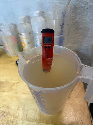 Growreport Bild 22