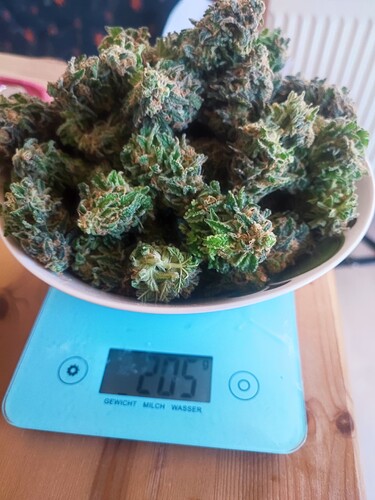 Growreport Bild 23