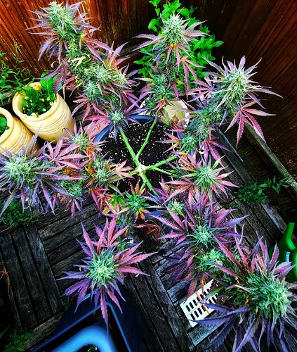 IMG_20240630_202907~2-01-01