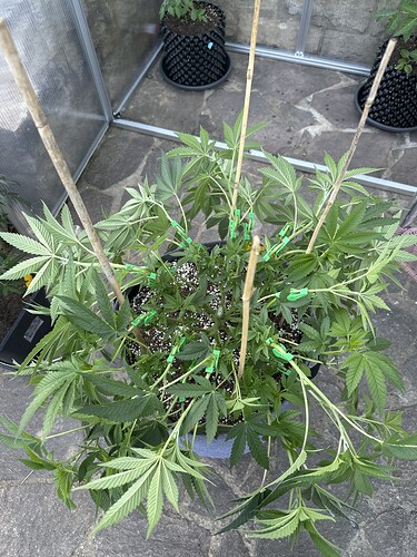 Growreport Bild 11