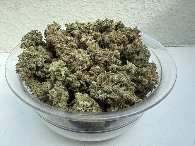 Growreport Bild 11