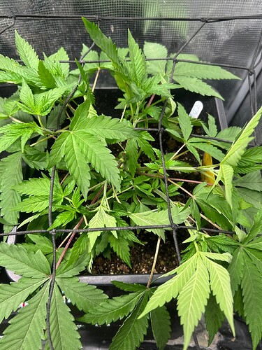 Growreport Bild 22