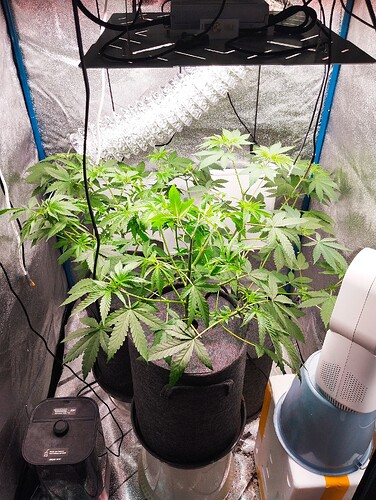 Growreport Bild 4