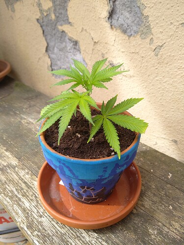 Growreport Bild 9